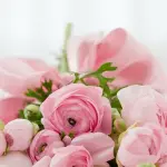 I fiori più utilizzati nei matrimoni