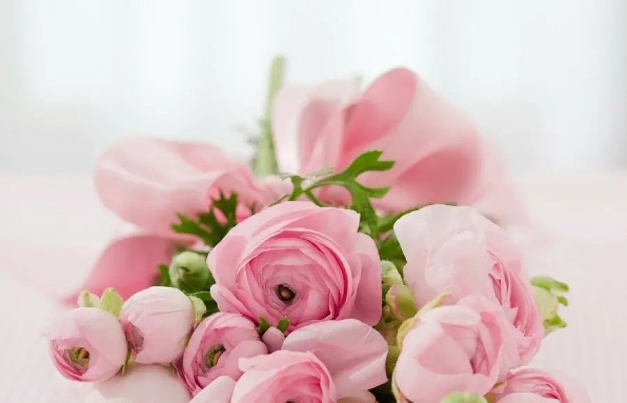 I fiori più utilizzati nei matrimoni