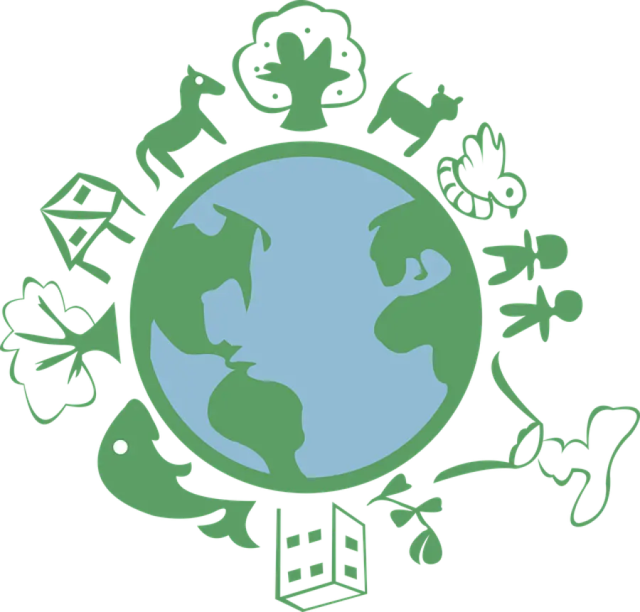 I corsi ITS spopolano, perché centinaia di giovani li stanno scegliendo