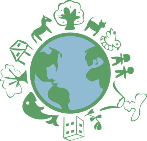 I corsi ITS spopolano, perché centinaia di giovani li stanno scegliendo