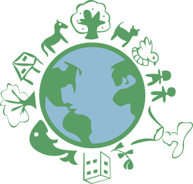 I corsi ITS spopolano, perché centinaia di giovani li stanno scegliendo